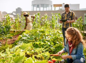 Agriculture